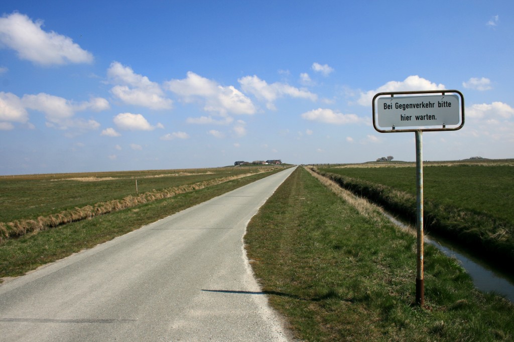 „Eine Insel hat Deiche, eine Hallig nicht“